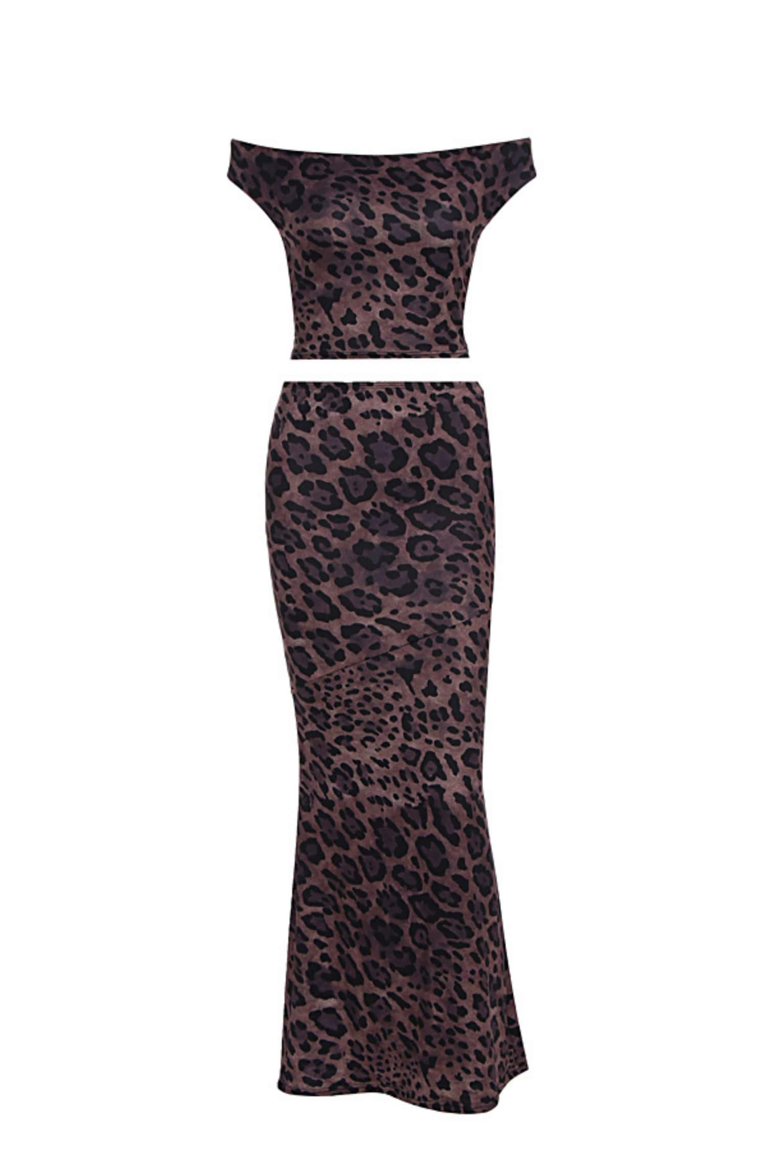 Two Piece Leopard Print Mermaid Dress
